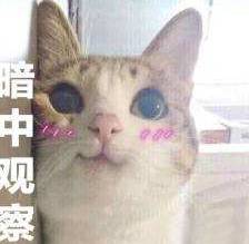 图片17.png